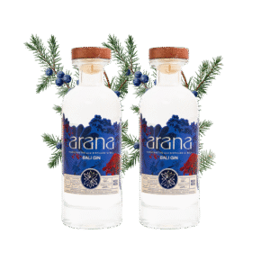 [ party pack free ongkir bali ] special arana gin bali x 2 bottles with mixers by fever tree including ice cube