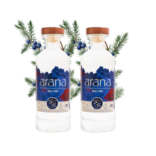 [ party pack free ongkir bali ] special arana gin bali x 2 bottles with mixers by fever tree including ice cube