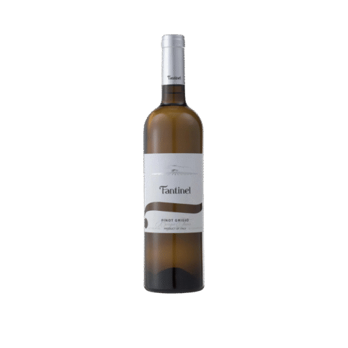 fantinel borgo tesis pinot grigio